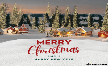 Merry Christmas and Happy New Year!